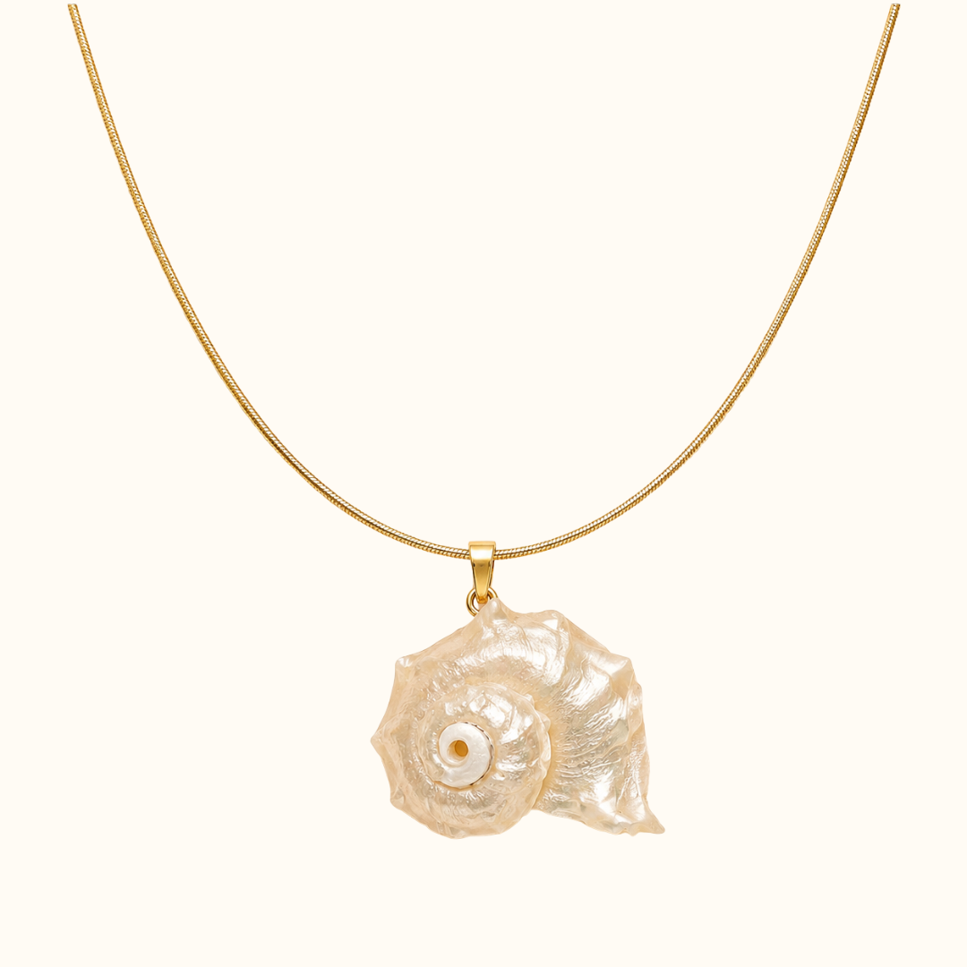 Natural Shell Pendant Necklace